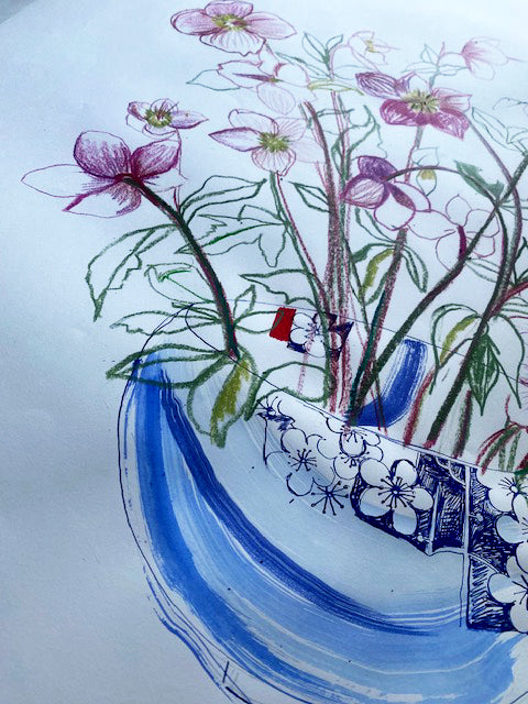 Oriental Hellebores in a Japanese Bowl - ORIGINAL DRAWING