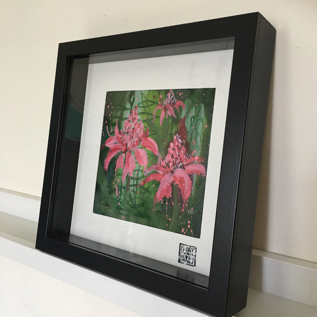 A Flourish of Gingerlilies