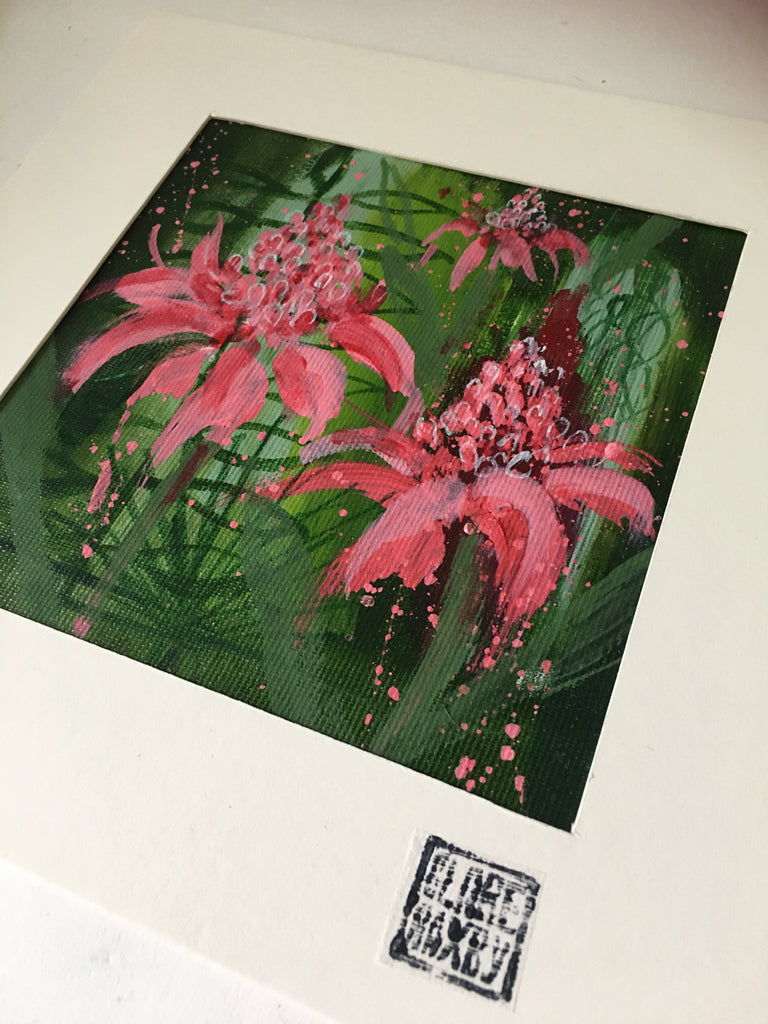 A Flourish of Gingerlilies