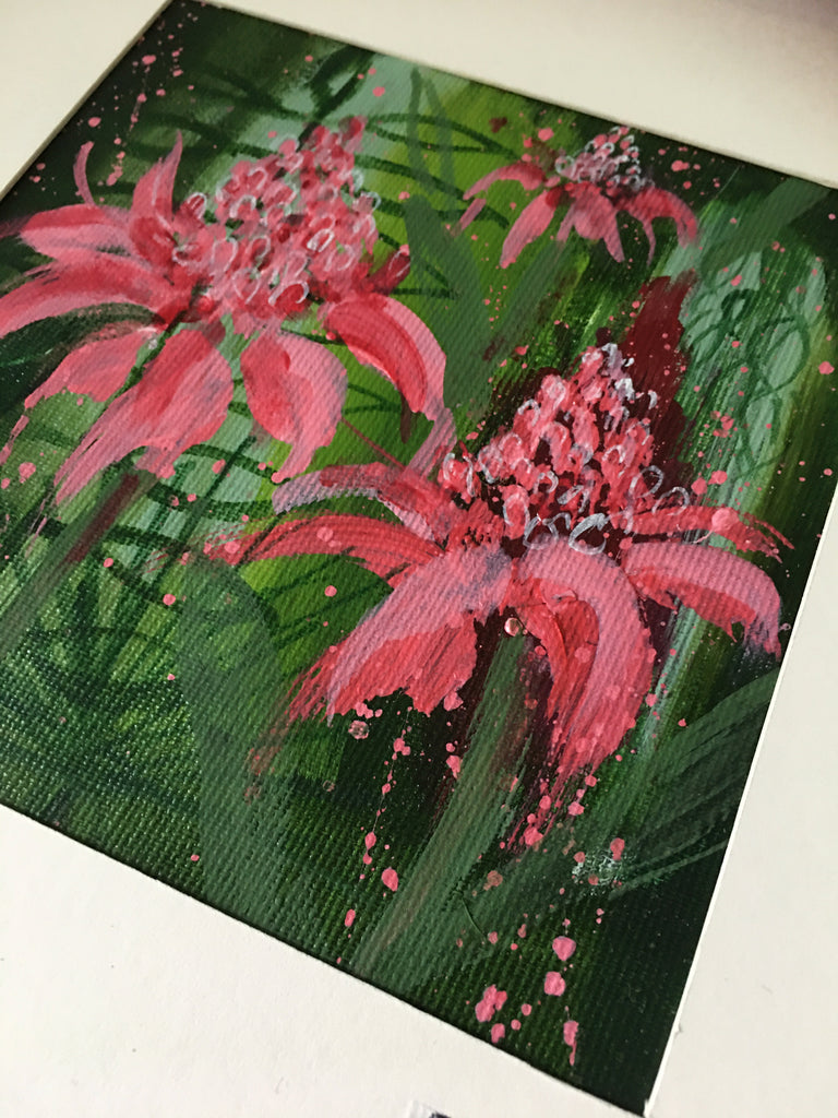 A Flourish of Gingerlilies