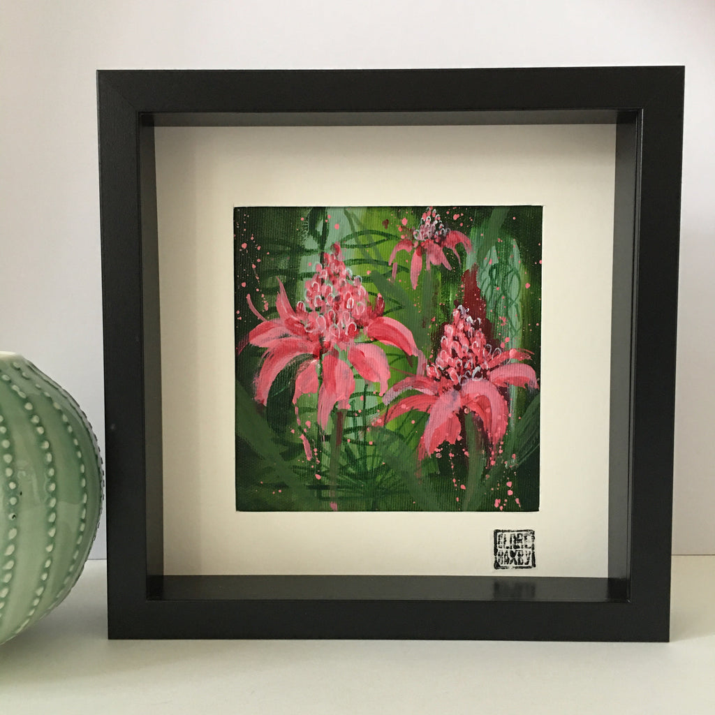 A Flourish of Gingerlilies