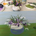 #ClareHaxbyFlowers 74 - Spring Snowdrop & Crocus
