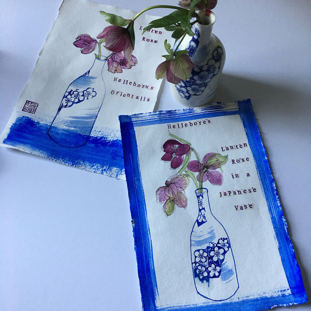 Lanten Rose in a Japanese Vase