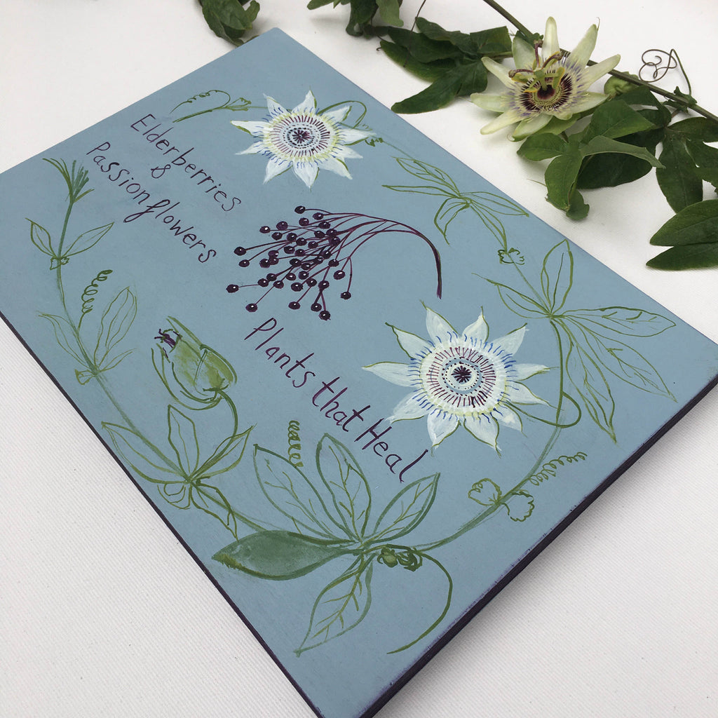 Plants that Heal - Elderberries & Passionflowers - Original Painting