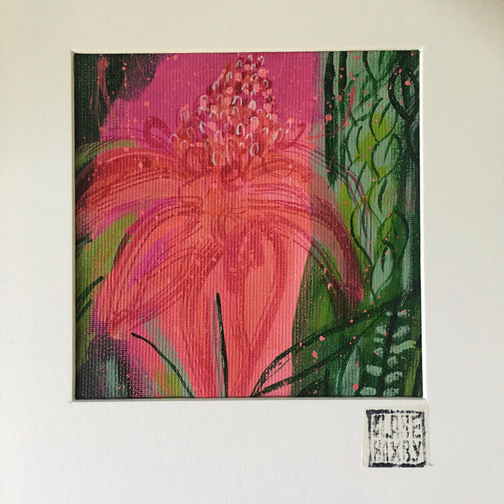 Pink Torch Gingerlily - Framed Painting