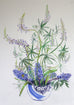 Twisty Lupins and Heavenly Perfumed Blue Hyacinths in a Japanese Bowl - Original Drawing