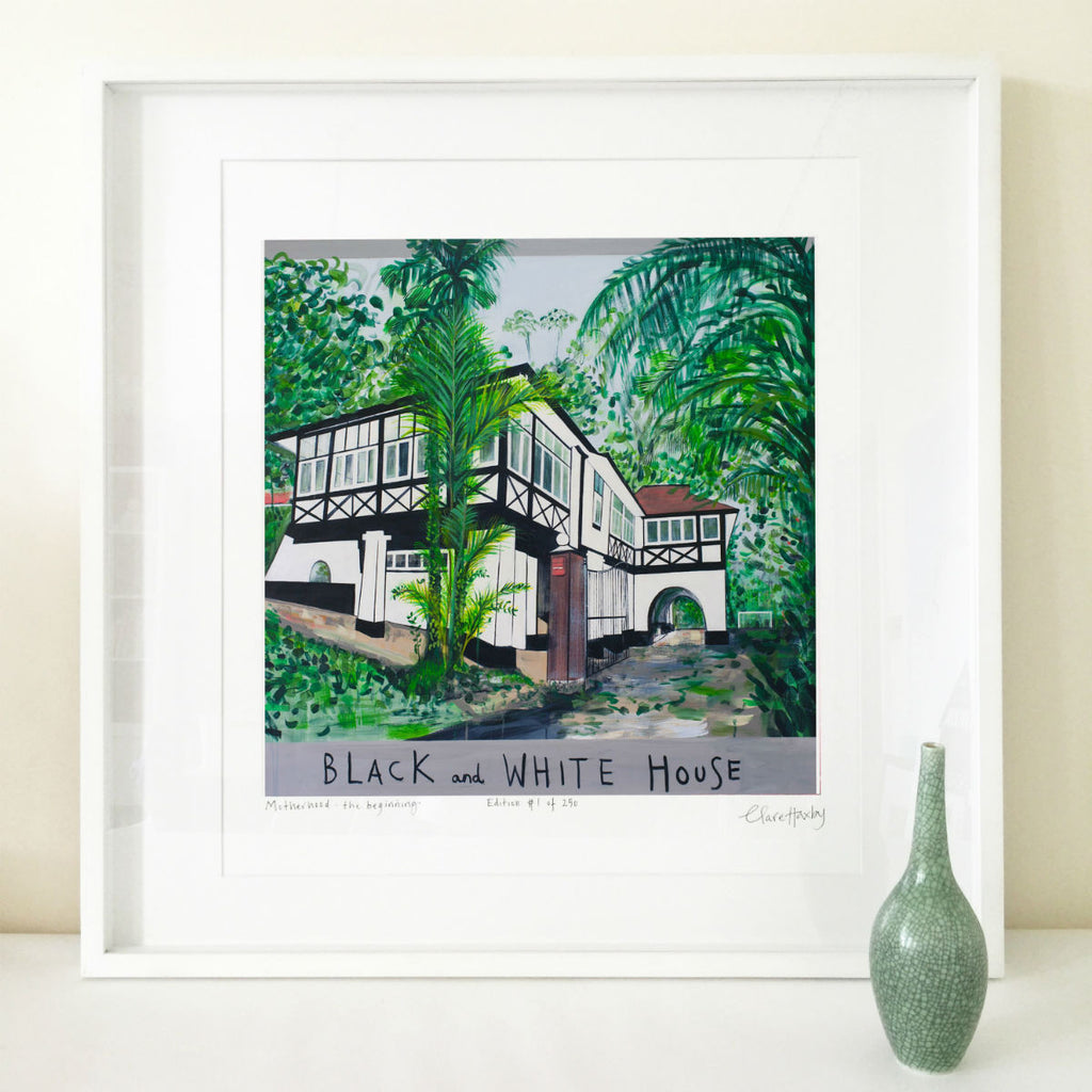 Black & White House