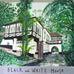 Black & White House