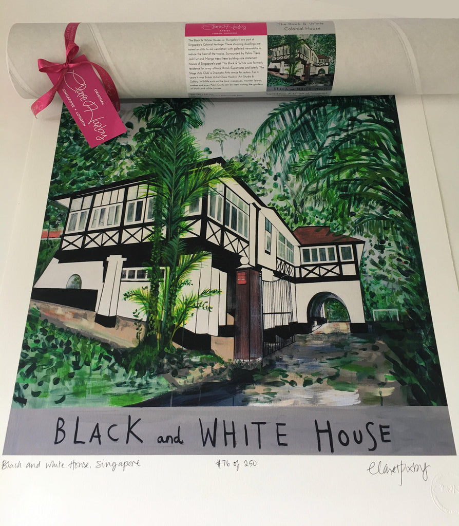 Black & White House