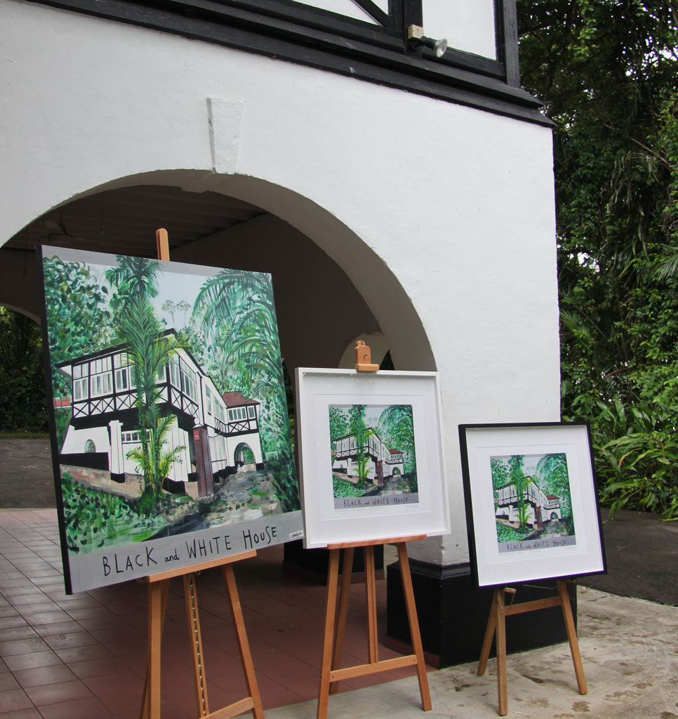 Black & White House
