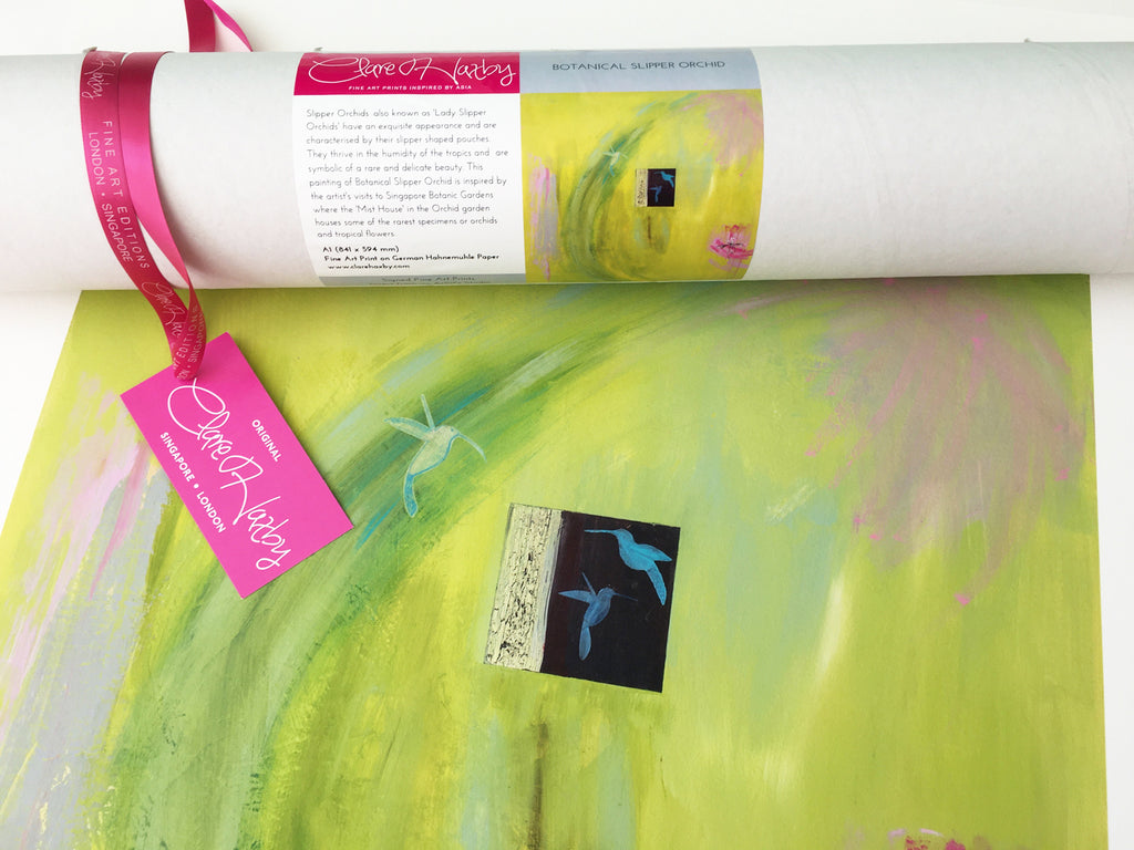 Botanical Slipper Orchid