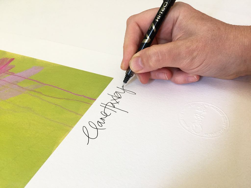 Botanical Slipper Orchid