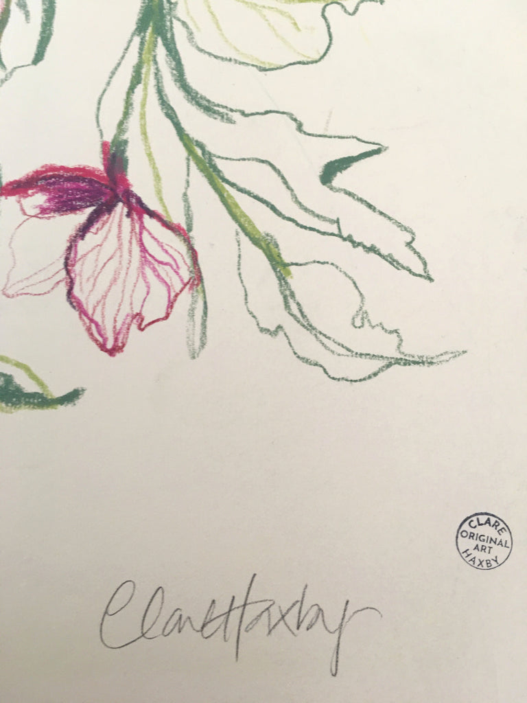 Hellebores in a Japanese Porcelain Bowl - Original Drawing