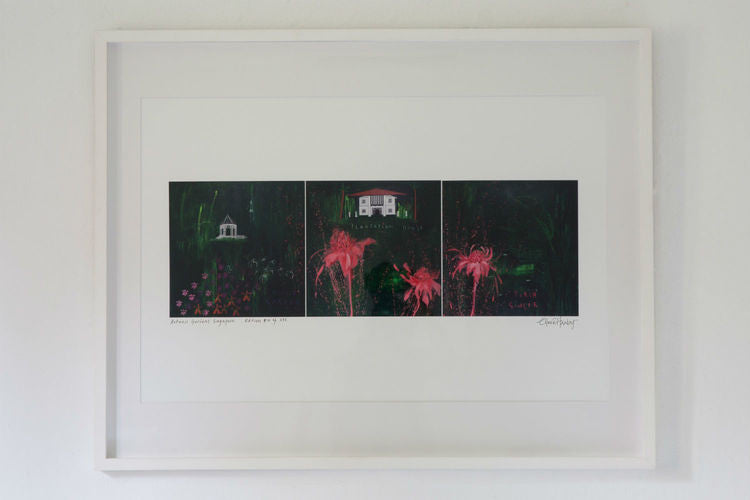 Singapore Botanic Gardens White Framed Print