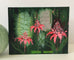 Torch Ginger, Red Ginger & Sceptre of the Emperor in the Botanic Gardens - Original Painting.