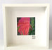 Pink Torch Gingerlily - Framed Painting