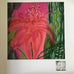Pink Torch Gingerlily - Framed Painting