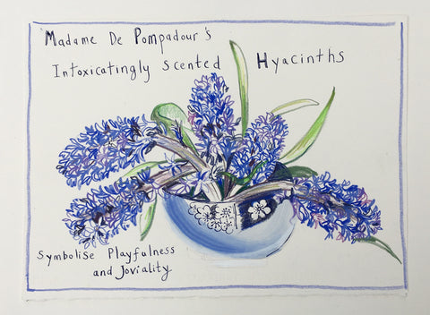 Madame De Pompadour's Intoxicatingly Scented Hyacinths - Original Drawing