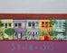 Singapore Shophouses by Clare Haxby