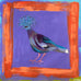 Victoria Crown Pigeon painting by Clare Haxby